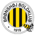 Bronshoj Logo đội