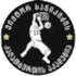 VSA U22 Logo đội